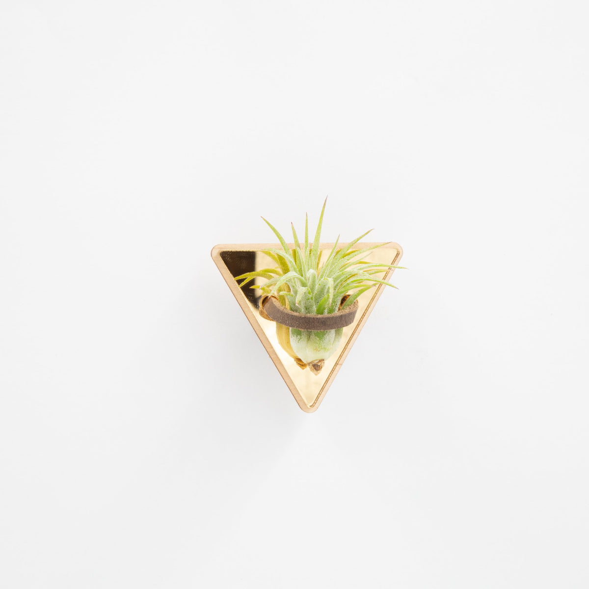 magnetic plant hanger Gold Mirror Triangle Magnetic Air Plant Holder – So Very Lovely